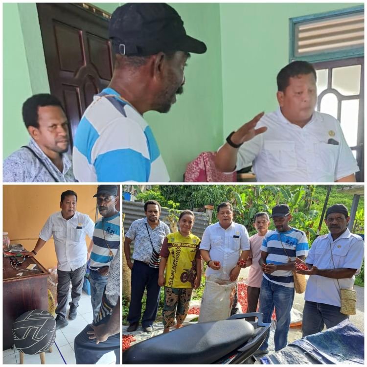 Plt. Kepala Dinas Perkebunan Fakfak, Widhi Asmoro Jati, ST, MT, bersama staf Dinas Perkebunan Fakfak turun langsung ke lapangan guna memastikan penanganan hasil panen pala telah sesuai.