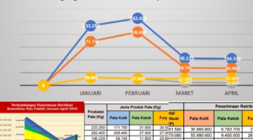 Penerimaan retribusi Pala hingga akhir April 2026 mencapai Rp248.465.700.