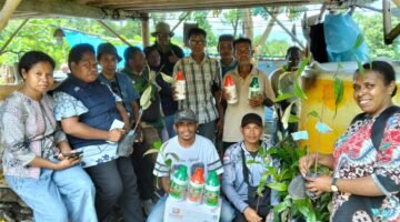 Dinas Perkebunan menyalurkan bibit pala Melalui program GERTAK didistribusikan langsung ke kebun milik kelompok tani.