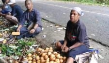 Kepala Distrik Kayauni, Jefri Hndom, SH., MM., turun langsung ke lapangan untuk memastikan proses panen.