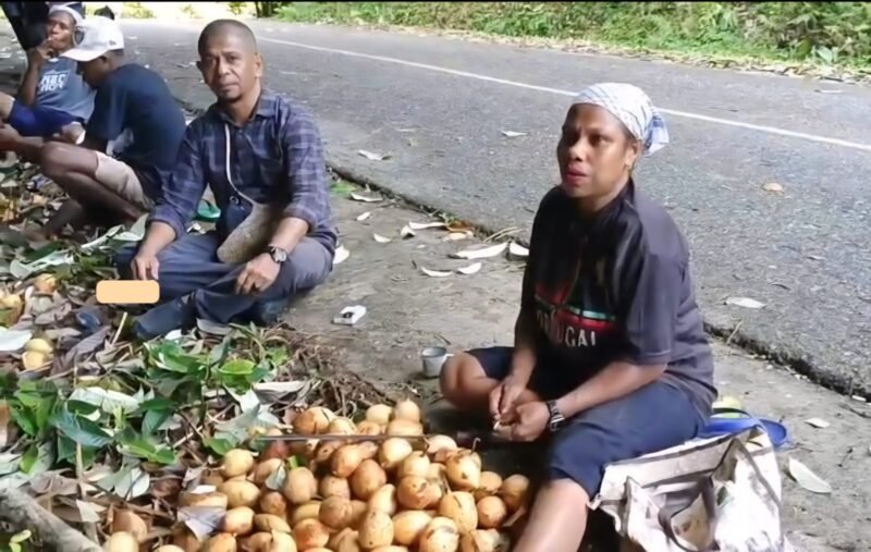Kepala Distrik Kayauni, Jefri Hndom, SH., MM., turun langsung ke lapangan untuk memastikan proses panen.